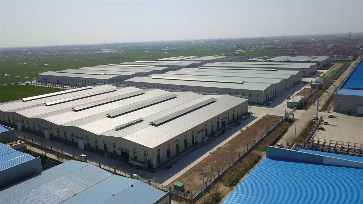 蒜通天下 (2).jpg